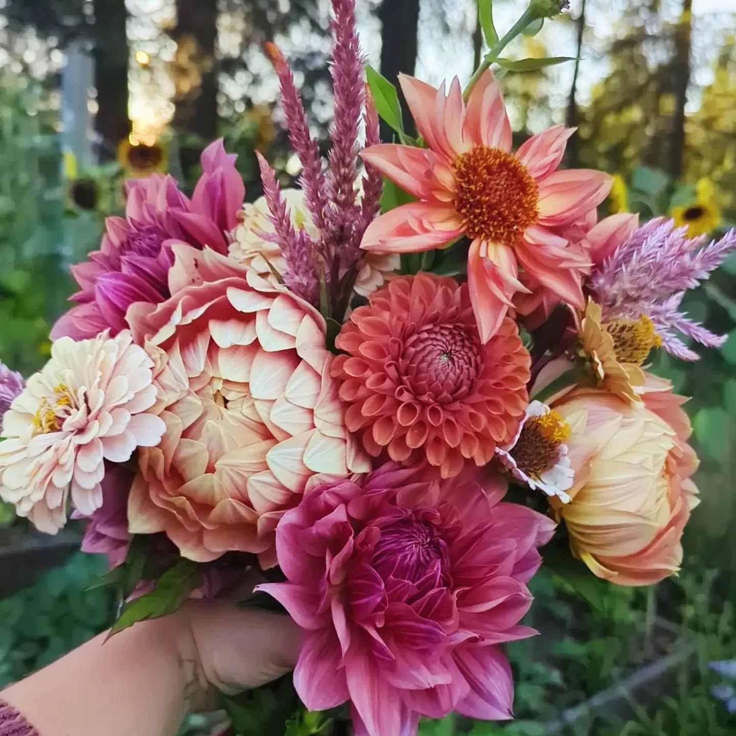 Summer Mixed Flower Bouquet Subscription