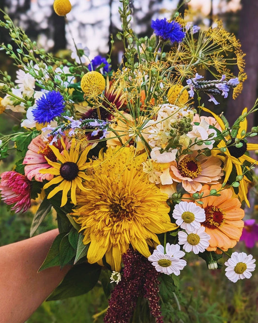 Fall Mixed Flower Bouquet Subscription