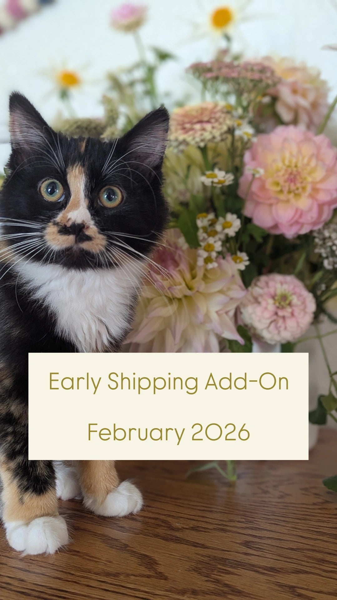 Early Shipping Add-On February