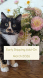 Early Shipping Add-On March
